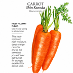 Greenhaus Gardening Carrot Seeds 5-Inch Tapered Roots for Raised Beds