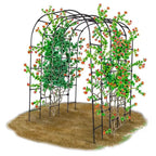 Greenhaus Gardening Garden Tunnel Connector Bars, Set of 9 Polypropylene Supports