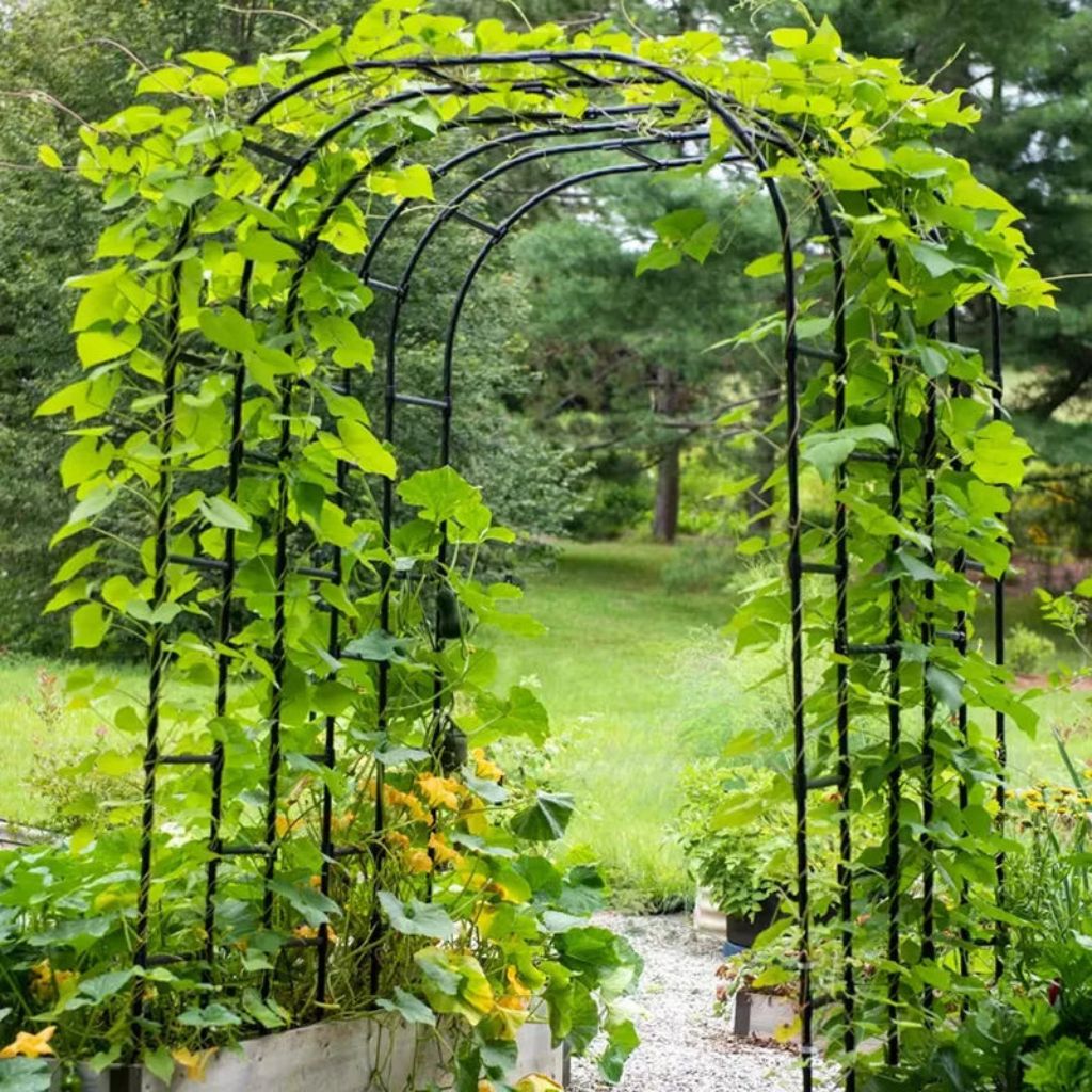 Greenhaus Gardening Garden Tunnel Connector Bars, Set of 9 Polypropylene Supports