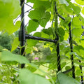Greenhaus Gardening Garden Tunnel Connector Bars, Set of 9 Polypropylene Supports
