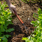 GreenHaus Gardening Heavy-Duty Cultivator Tool for Weeding & Soil Aeration