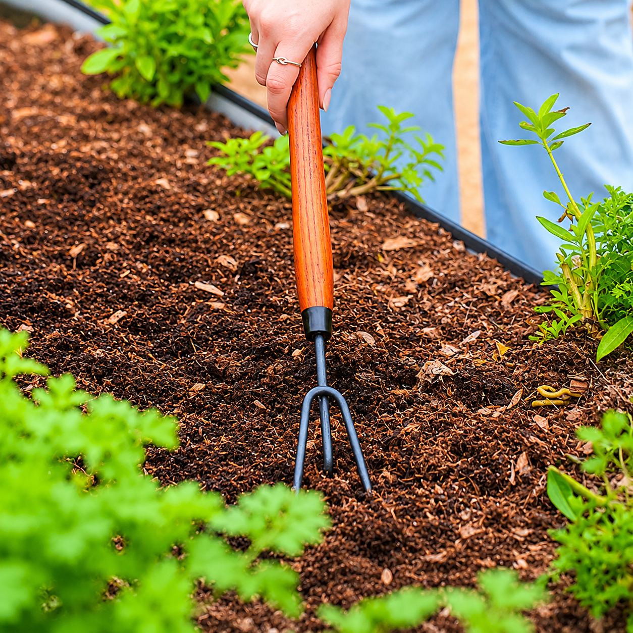 GreenHaus Gardening Heavy-Duty Cultivator Tool for Weeding & Soil Aeration