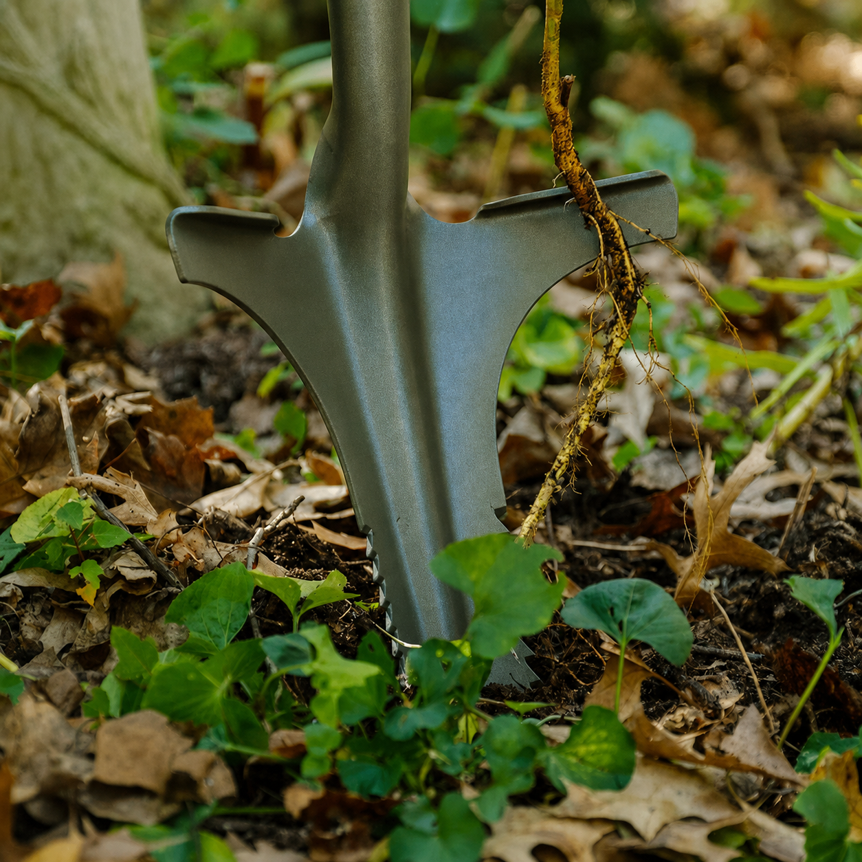 Greenhaus Gardening Deep Weeder for Tough Roots and Weed Removal
