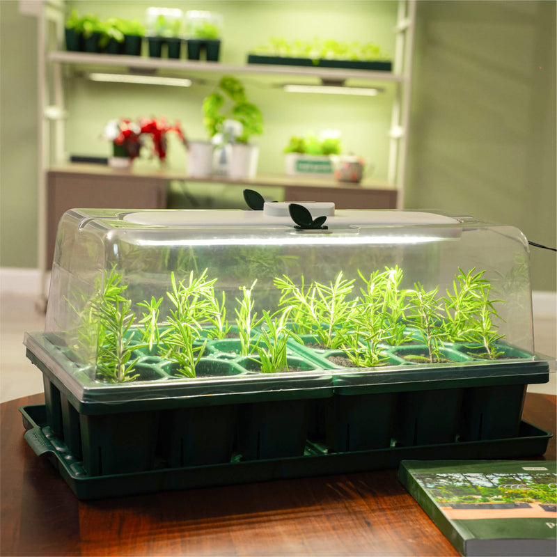 Greenhaus Gardening Germination Dome with LED Grow Light for Indoor Gardening