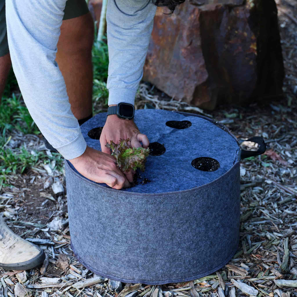 Greenhaus Gardening Plantable Fabric Covers for Moisture Control in Grow Bags