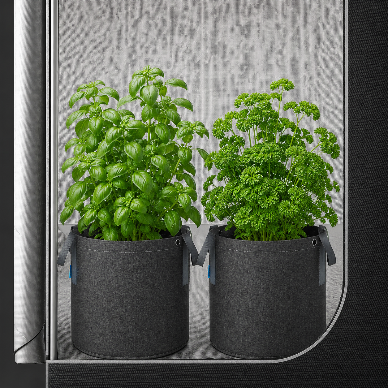 GreenHaus Gardening Heavy Duty Fabric Planter Pots for Vegetables & Herbs
