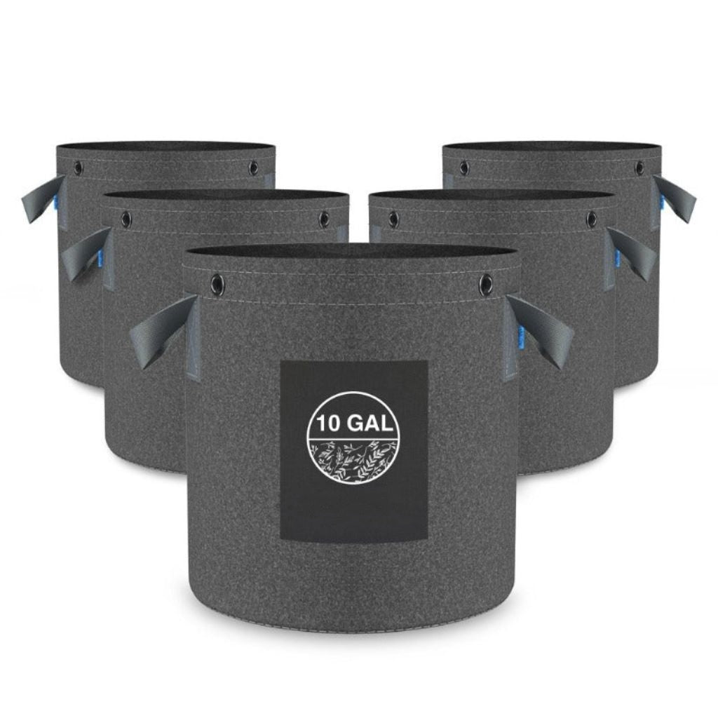 GreenHaus Gardening Heavy Duty Fabric Planter Pots for Vegetables & Herbs