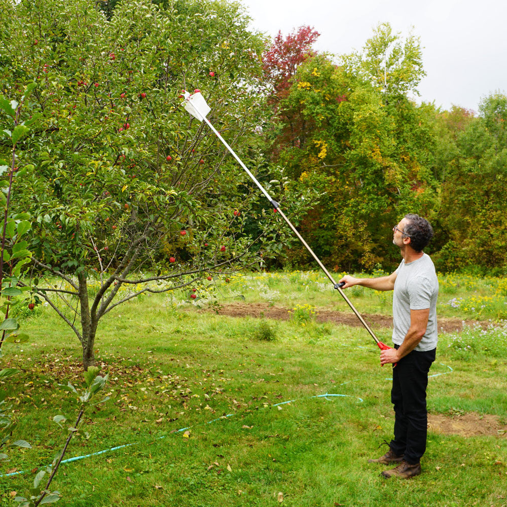 GreenHaus Gardening Telescopic Fruit Picker with Harvest Bag