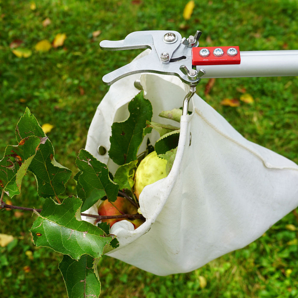 GreenHaus Gardening Telescopic Fruit Picker with Harvest Bag