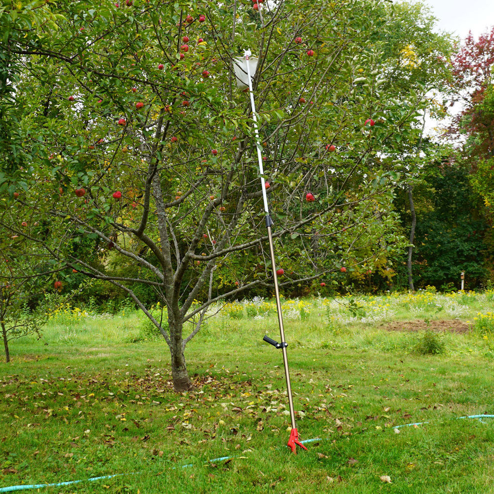 GreenHaus Gardening Telescopic Fruit Picker with Harvest Bag