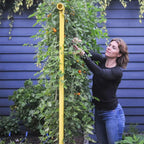 Greenhaus Gardening Garden Trellis System, Heavy Duty Modular Plant Support