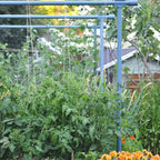 Greenhaus Gardening Garden Trellis System, Heavy Duty Modular Plant Support