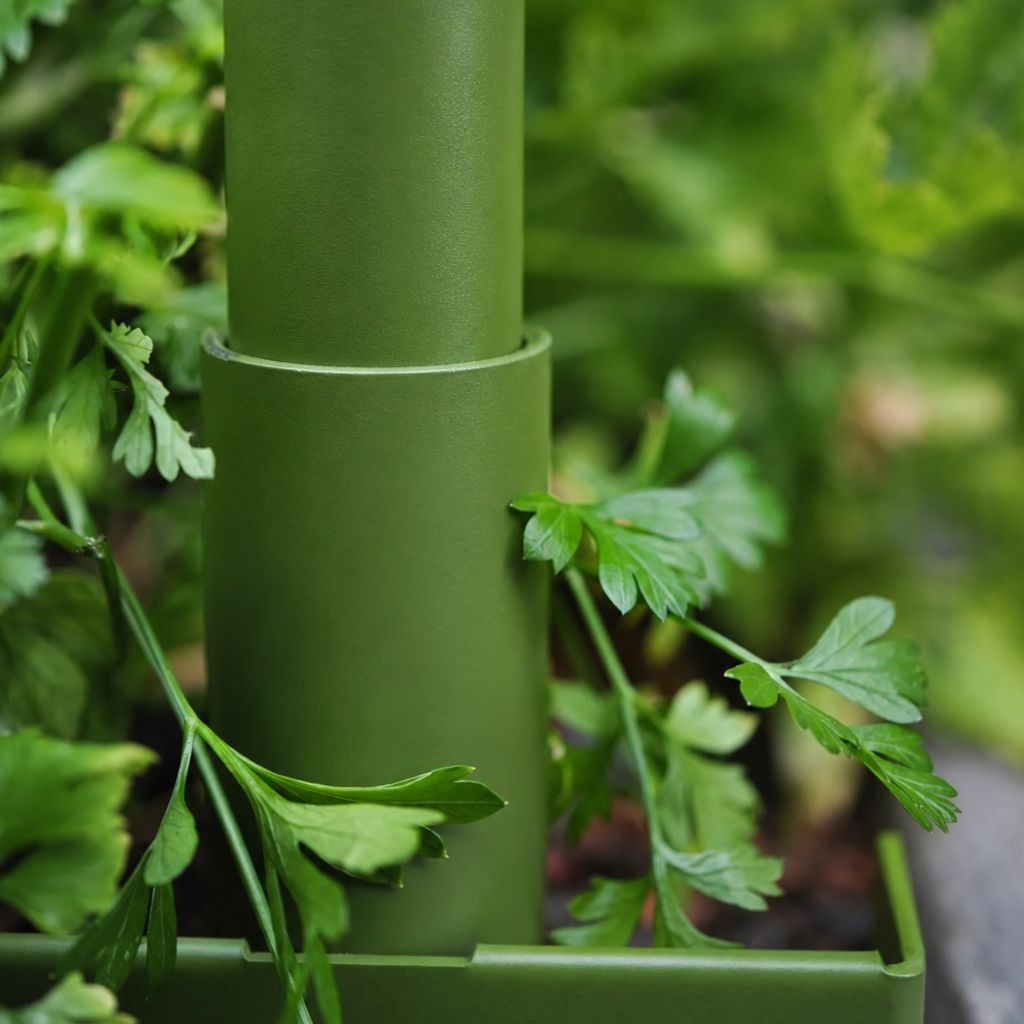 Greenhaus Gardening Garden Trellis System, Heavy Duty Modular Plant Support