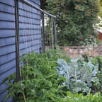 Greenhaus Gardening Garden Trellis System, Heavy Duty Modular Plant Support