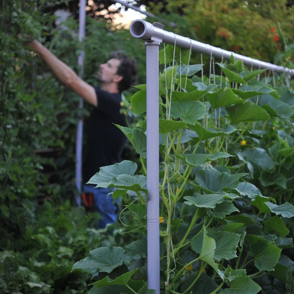 Greenhaus Gardening Garden Trellis System, Heavy Duty Modular Plant Support
