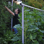 Greenhaus Gardening Garden Trellis System, Heavy Duty Modular Plant Support