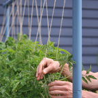 Greenhaus Gardening Garden Trellis System, Heavy Duty Modular Plant Support