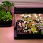 Greenhaus Gardening Ultimate Seed Starting Kit with Grow Light, Heat Mat & 6-Cell Trays