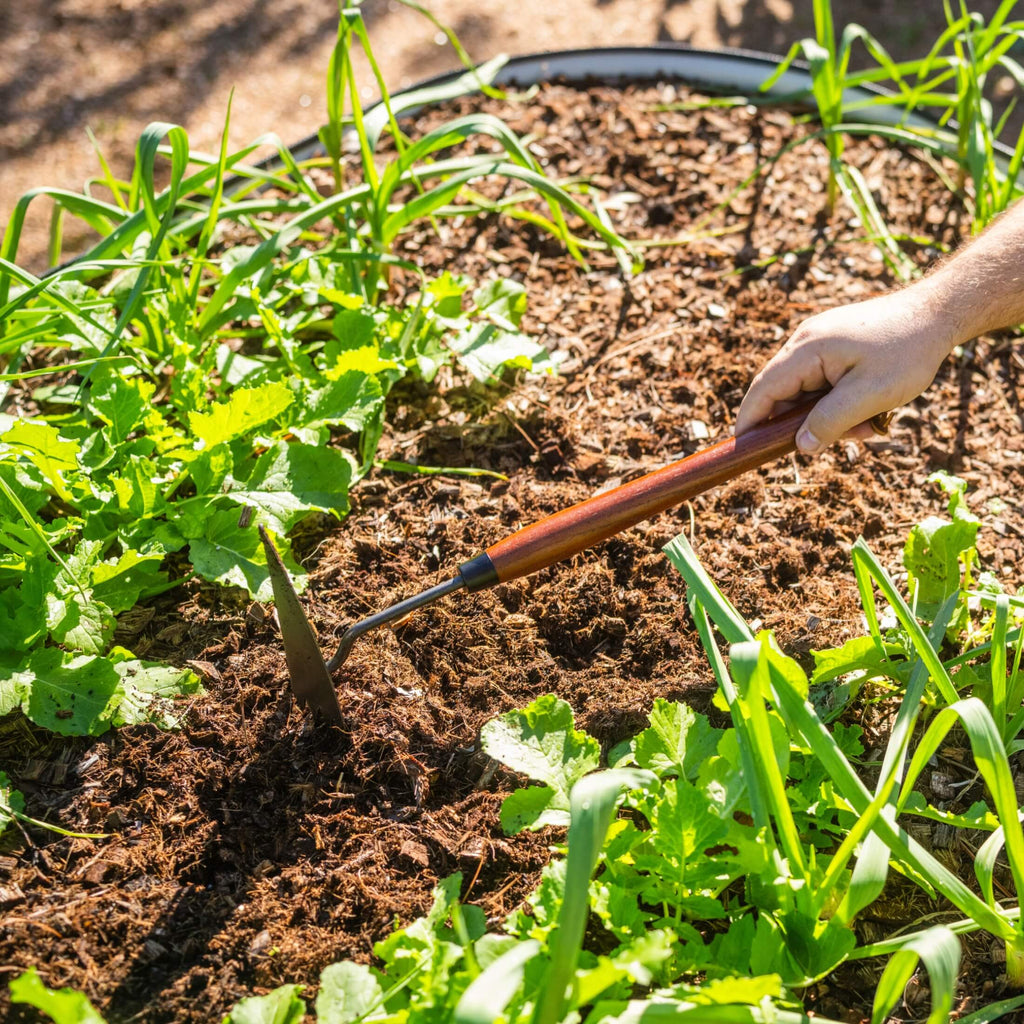 Greenhaus Gardening Hand Garden Hoe, FSC Wood Handle Multi-Use Weeding Tool