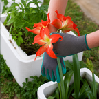 Greenhaus Gardening Coated Grip Gloves for Yard Chores and Tool Handling