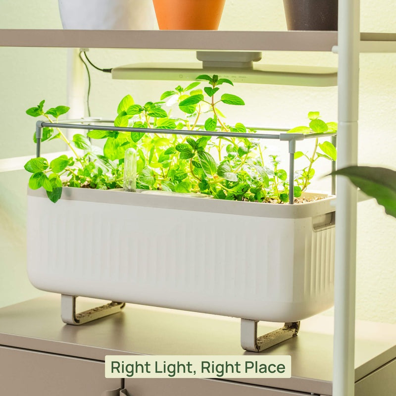 Greenhaus Gardening LED Grow Lamp, Full Spectrum Light for Seedlings & Herbs