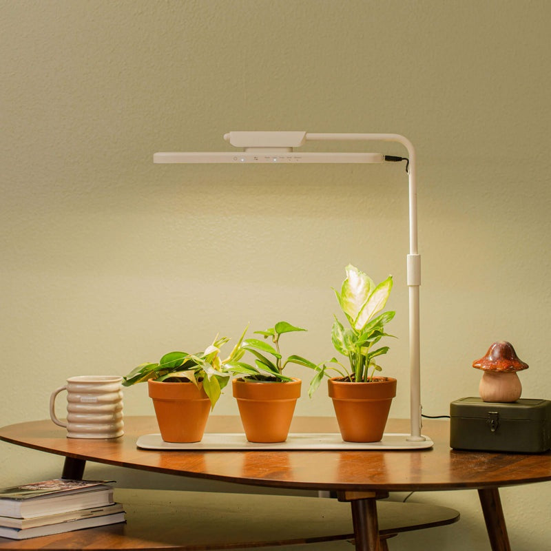 GreenHaus Gardening Adjustable Full Spectrum Grow Light Stand