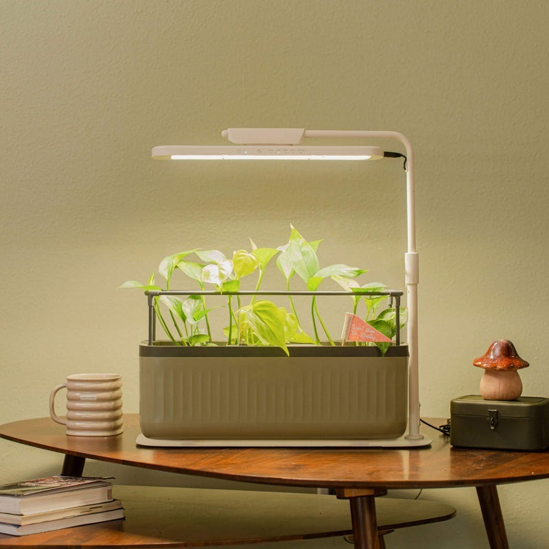 GreenHaus Gardening Adjustable Full Spectrum Grow Light Stand