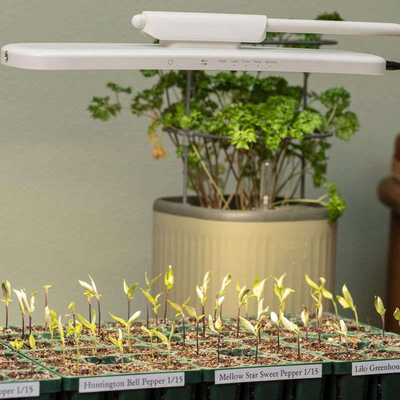 GreenHaus Gardening Adjustable Full Spectrum Grow Light Stand