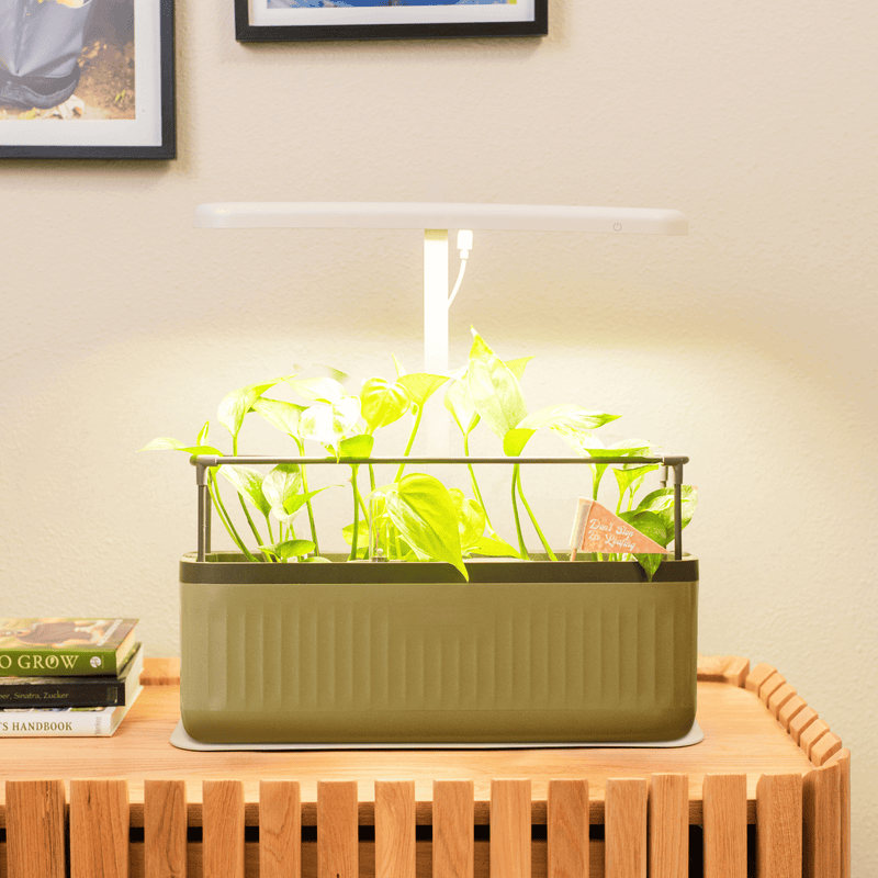 GreenHaus Gardening Full Spectrum Grow Light with Adjustable Height Stand