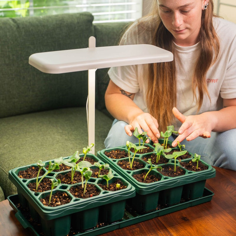 GreenHaus Gardening Full Spectrum Grow Light with Adjustable Height Stand