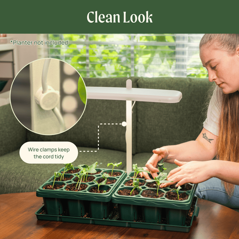 GreenHaus Gardening Full Spectrum Grow Light with Adjustable Height Stand