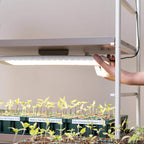 Greenhaus Gardening Full Spectrum LED Grow Light for Seed Starting, Herbs & Indoor Plants