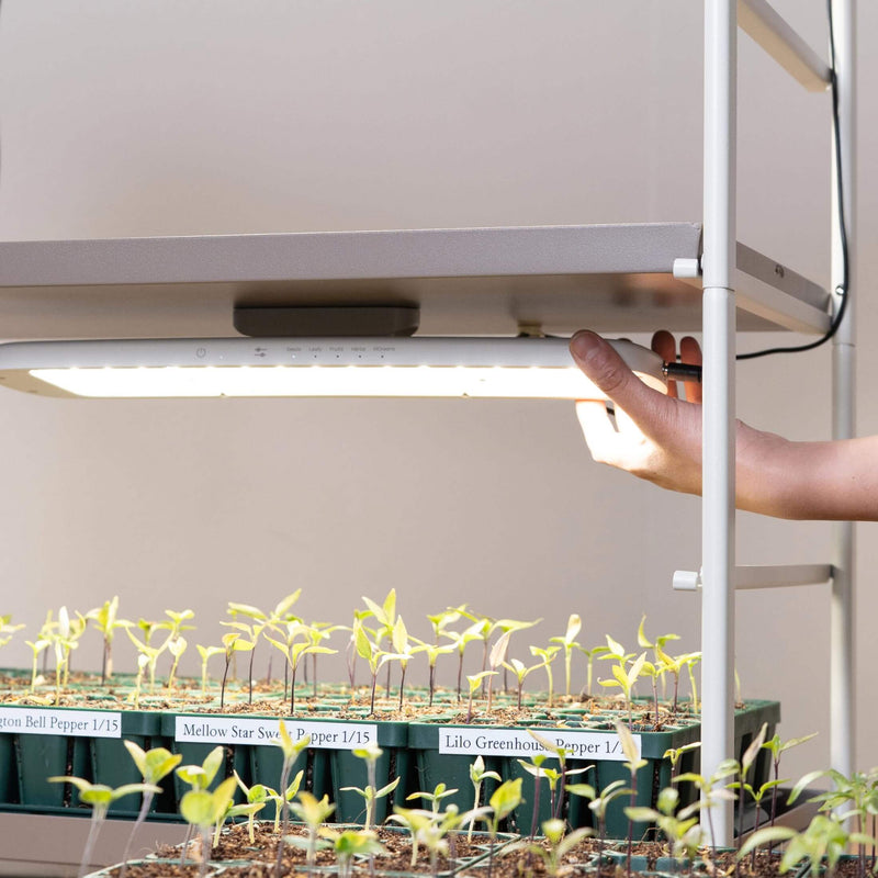 Greenhaus Gardening Full Spectrum LED Grow Light for Seed Starting, Herbs & Indoor Plants
