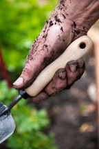 Greenhaus Gardening Hand Garden Trowel, Durable Digging Tool