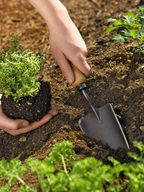 Greenhaus Gardening Hand Garden Trowel, Durable Digging Tool