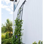 Greenhaus Gardening Garden Trellis Panel, Weatherproof Steel Vine Support