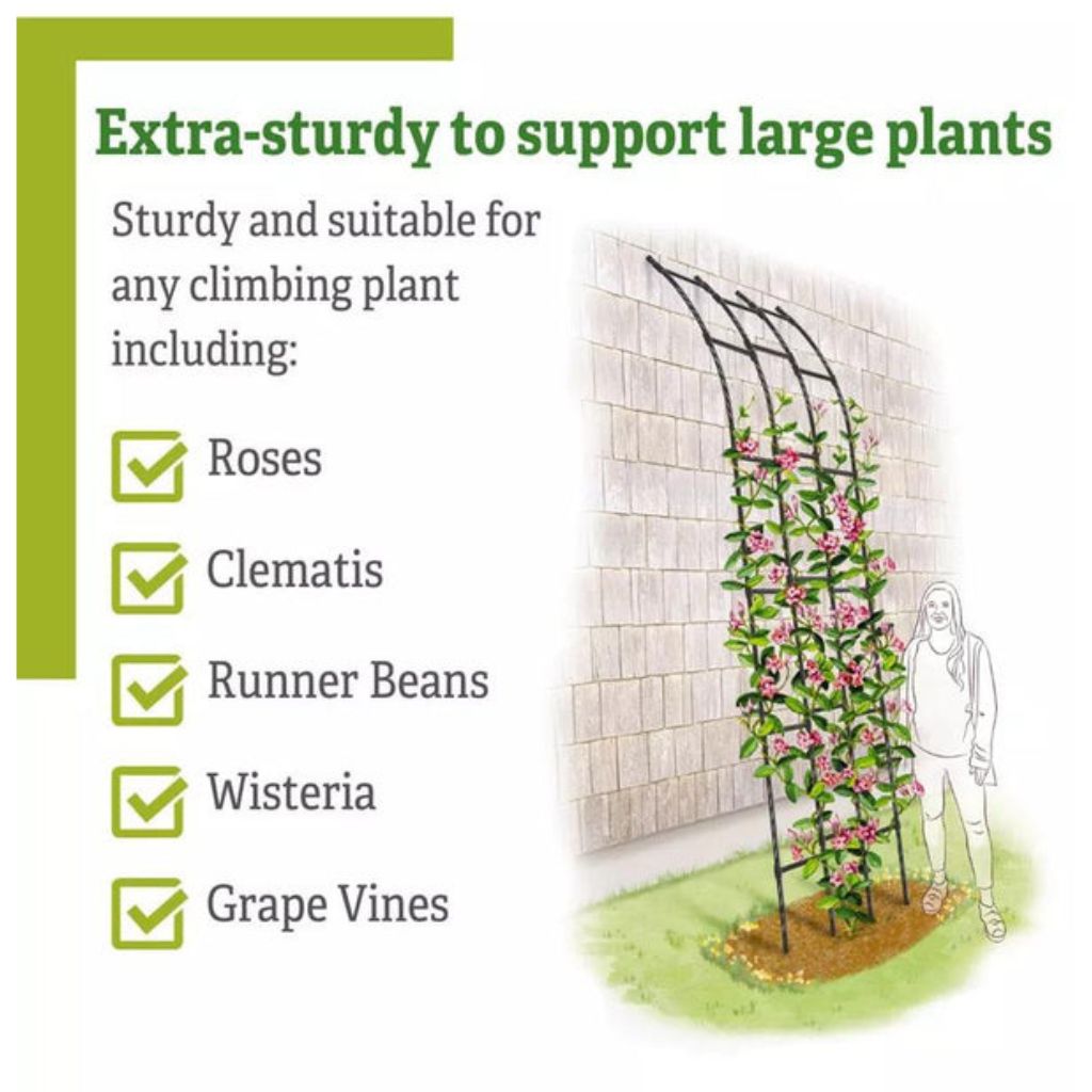 Greenhaus Gardening Garden Trellis Panel, Weatherproof Steel Vine Support