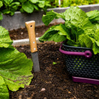 Greenhaus Gardening Hori Hori Digging Knife, Professional Gardening Tool•