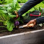 Greenhaus Gardening Hori Hori Digging Knife, Professional Gardening Tool•