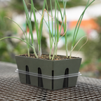 Greenhaus Gardening Humidity Domes and Bottom Trays for Greenhouse Growing