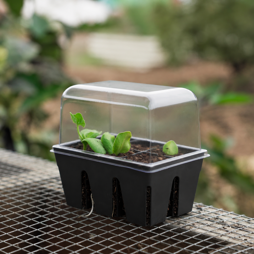 Greenhaus Gardening Humidity Domes and Bottom Trays for Greenhouse Growing