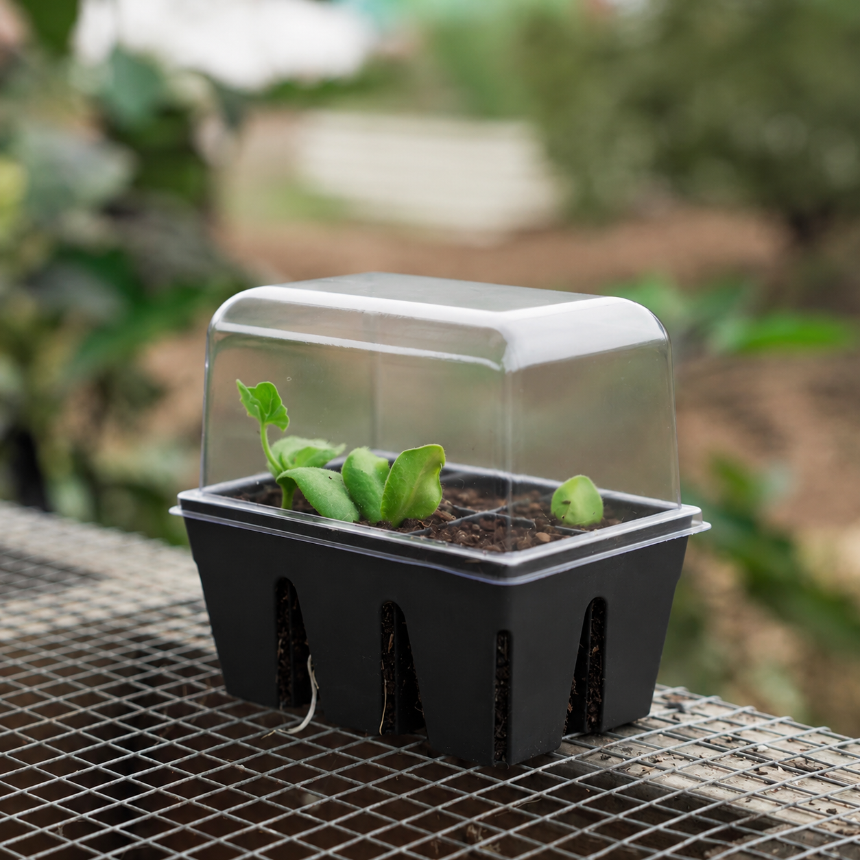 Greenhaus Gardening Humidity Domes and Bottom Trays for Greenhouse Growing