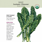 Greenhaus Gardening Kale Seeds Lacinato Dinosaur Heirloom Tuscan Kale