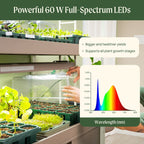 GreenHaus Gardening LED Grow Light Bar with Full Spectrum & Smart Preset Modes