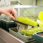 GreenHaus Gardening LED Grow Light Bar with Full Spectrum & Smart Preset Modes