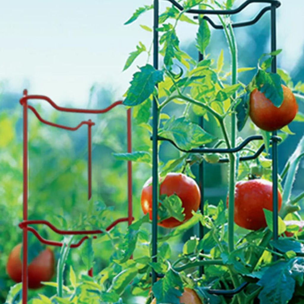 Greenhaus Gardening Tomato Supports Set of 3, Durable Steel Garden Ladders
