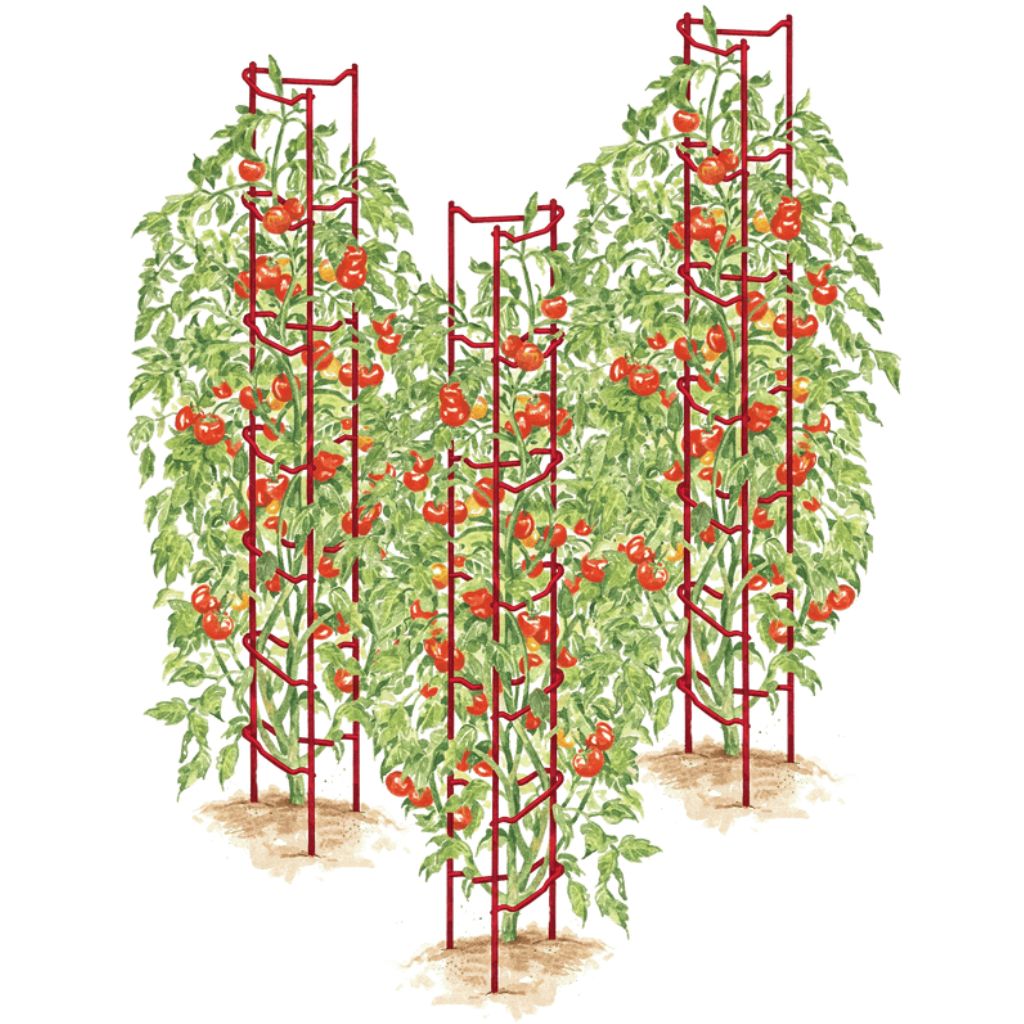 Greenhaus Gardening Tomato Supports Set of 3, Durable Steel Garden Ladders