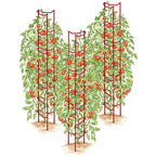 Greenhaus Gardening Tomato Supports Set of 3, Durable Steel Garden Ladders