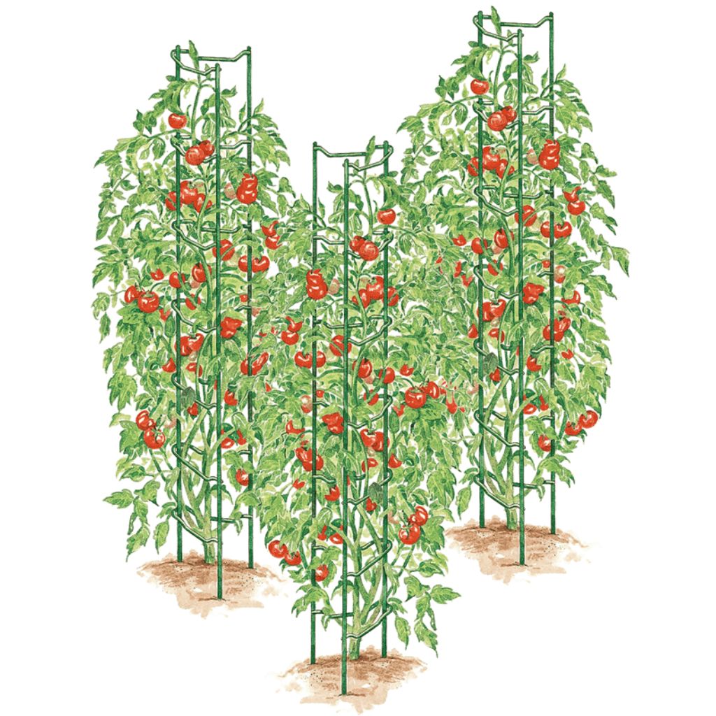 Greenhaus Gardening Tomato Supports Set of 3, Durable Steel Garden Ladders
