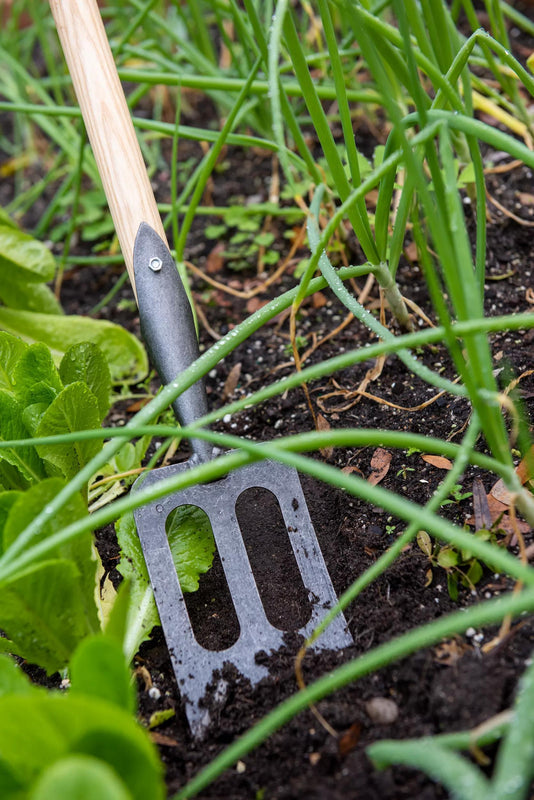 Greenhaus Gardening Deep Reach Spork, Precision Garden Weeding Tool
